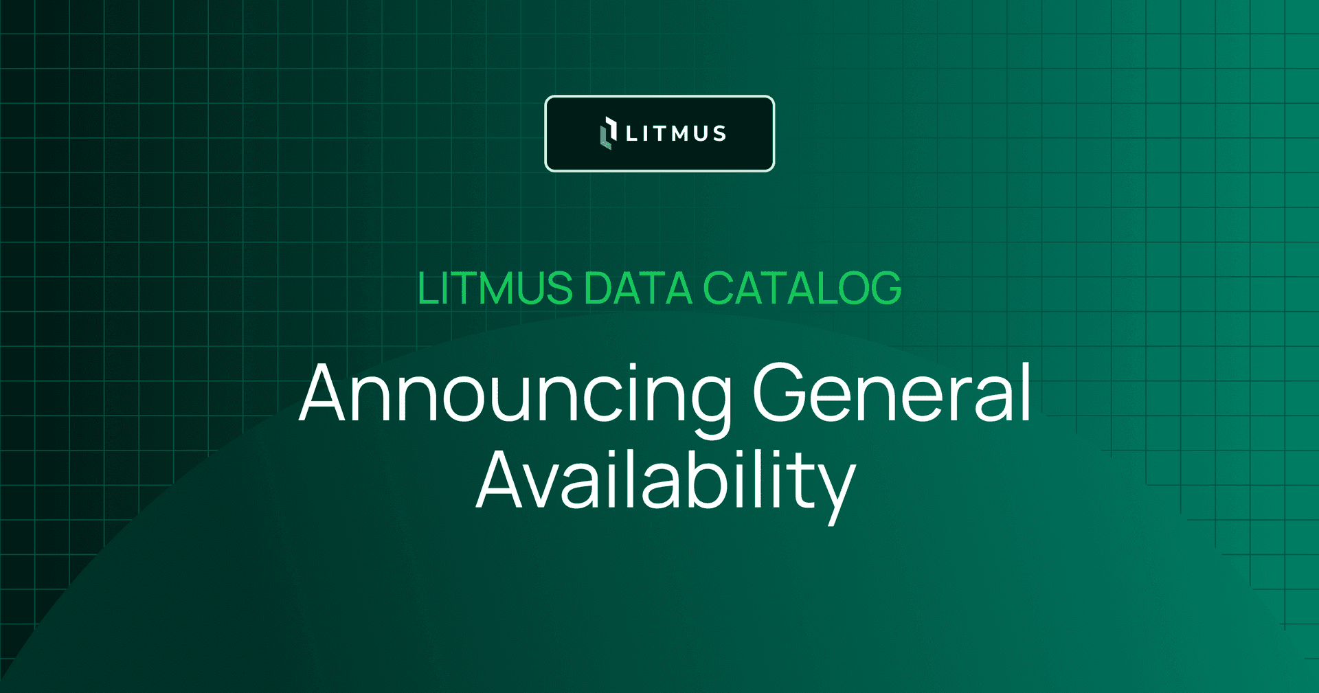 Litmus Data Catalog Now Generally Available