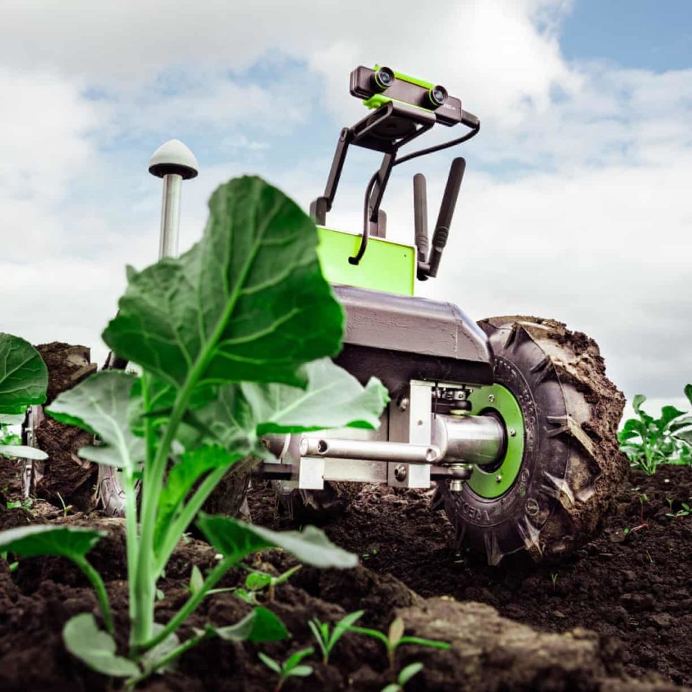 <span style="letter-spacing: -0.24px;">Food Manufacturer Uses Agritech to Improve Crop Yield</span><span style="letter-spacing: -0.24px;"></span>